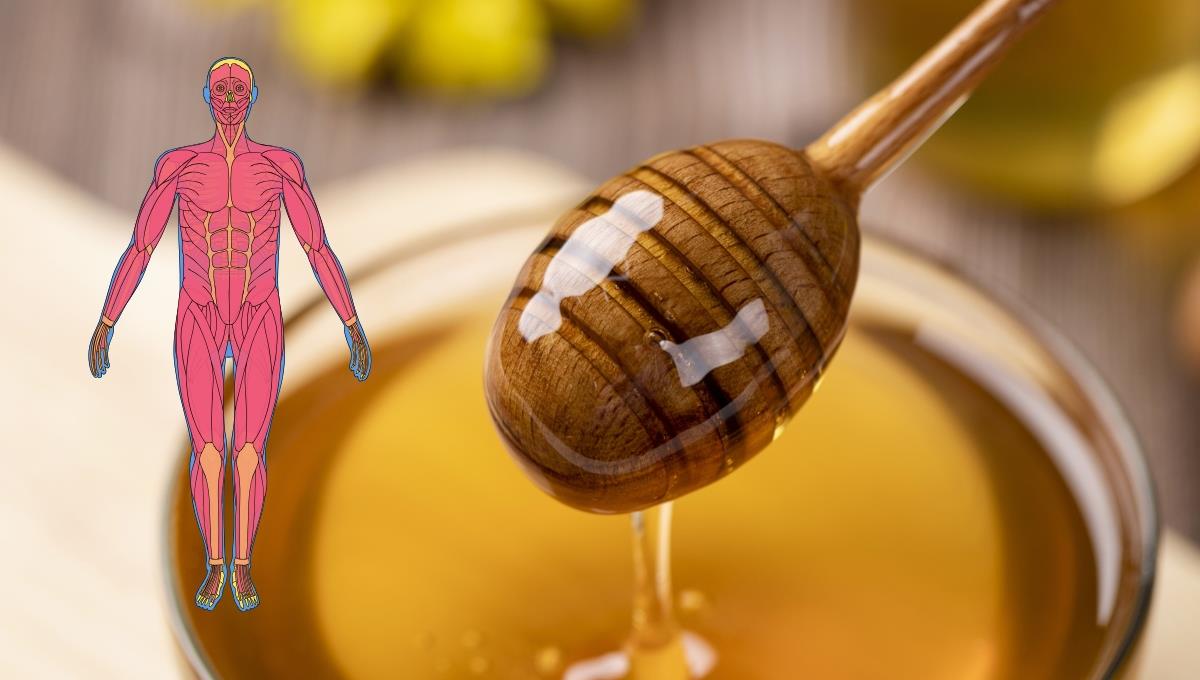 El efecto inesperado que tiene la miel en tu organismo y no sabías